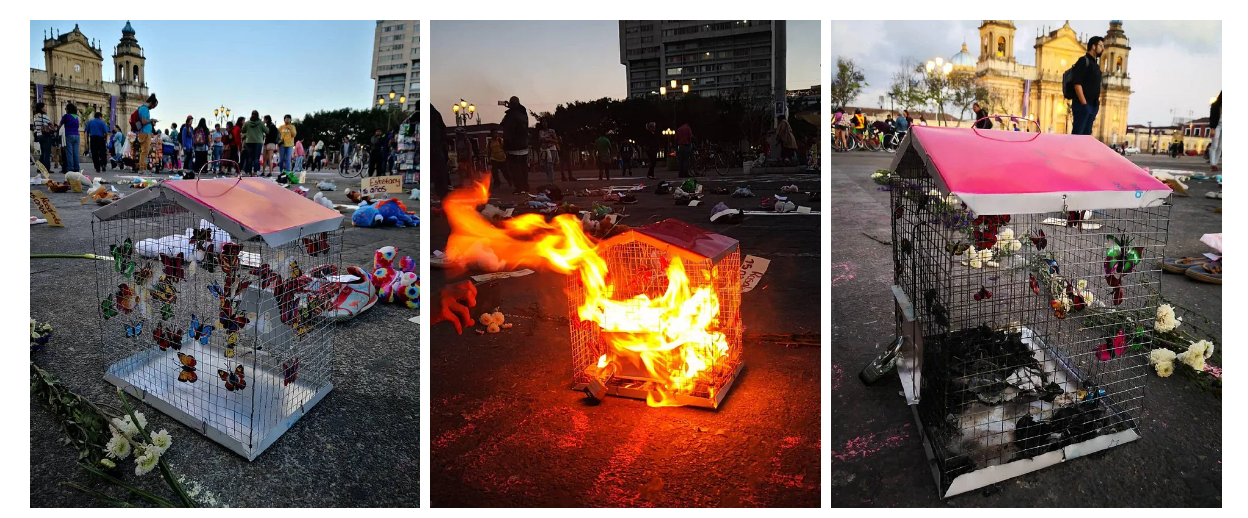  Fotos: Diana Cameros 